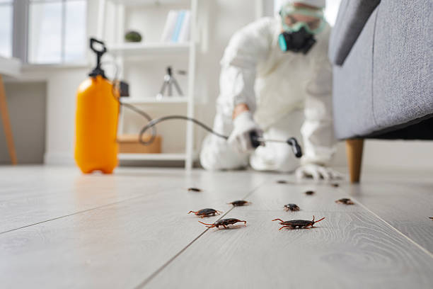 Post-Treatment Bed Bug Interceptor Monitoring in Lake Delta