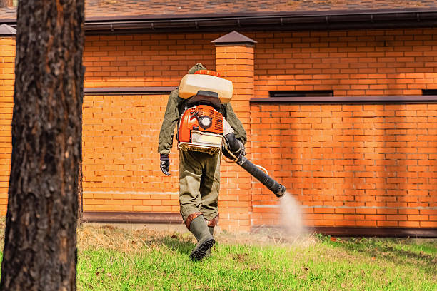 Bed Bug Clearance Verification and Documentation in Lake Delta